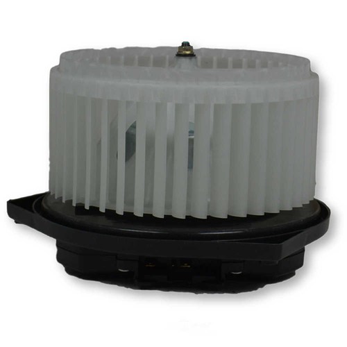 BLO4006N