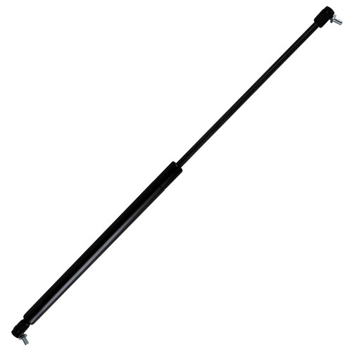 SHO619P
